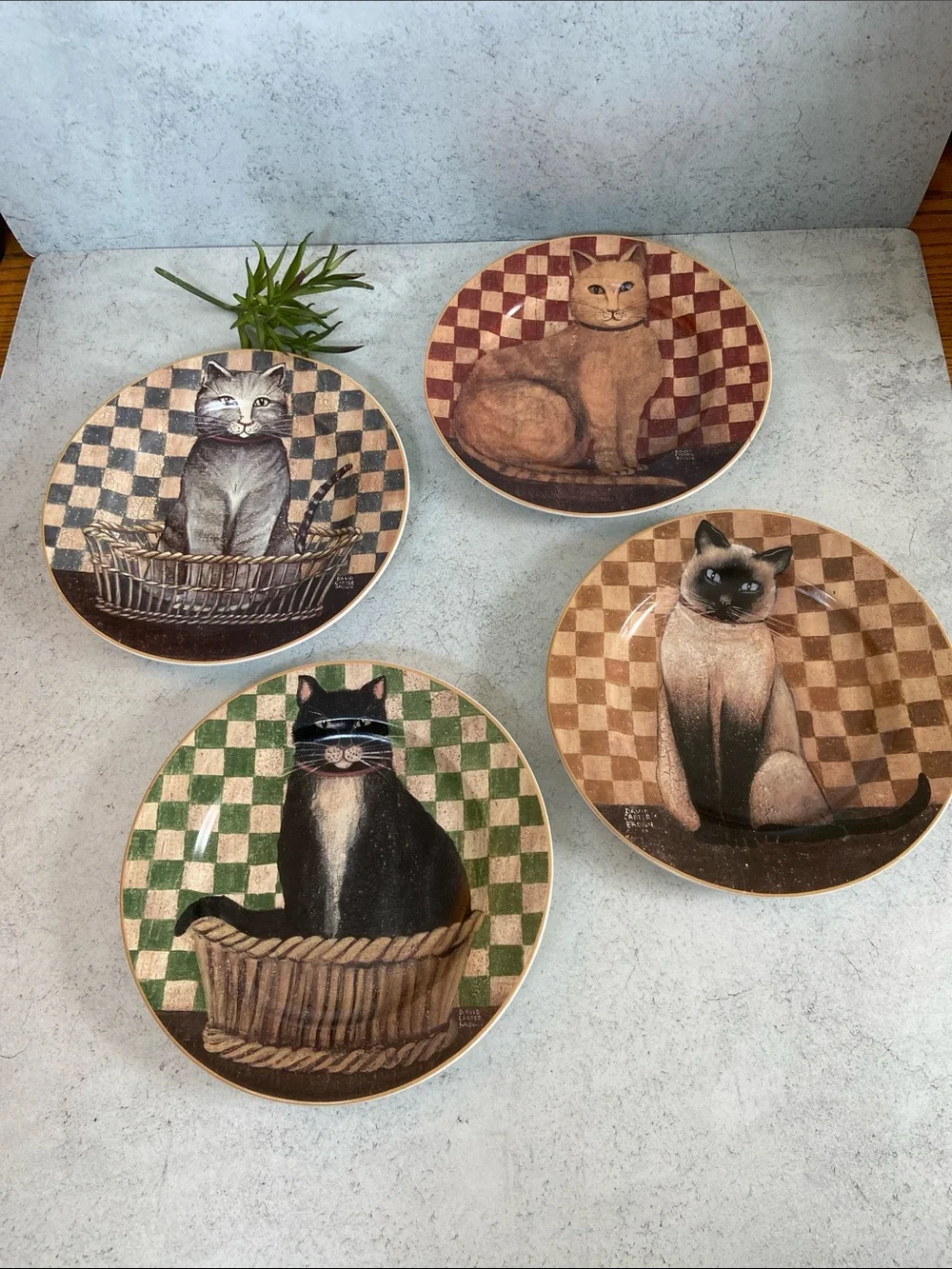 DC Brown Country Kitties David Carter Brown Cat Salad Dessert Plates Set of 4